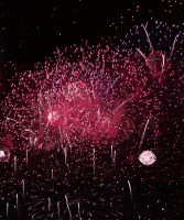 Gif animé feux d'artifices 61